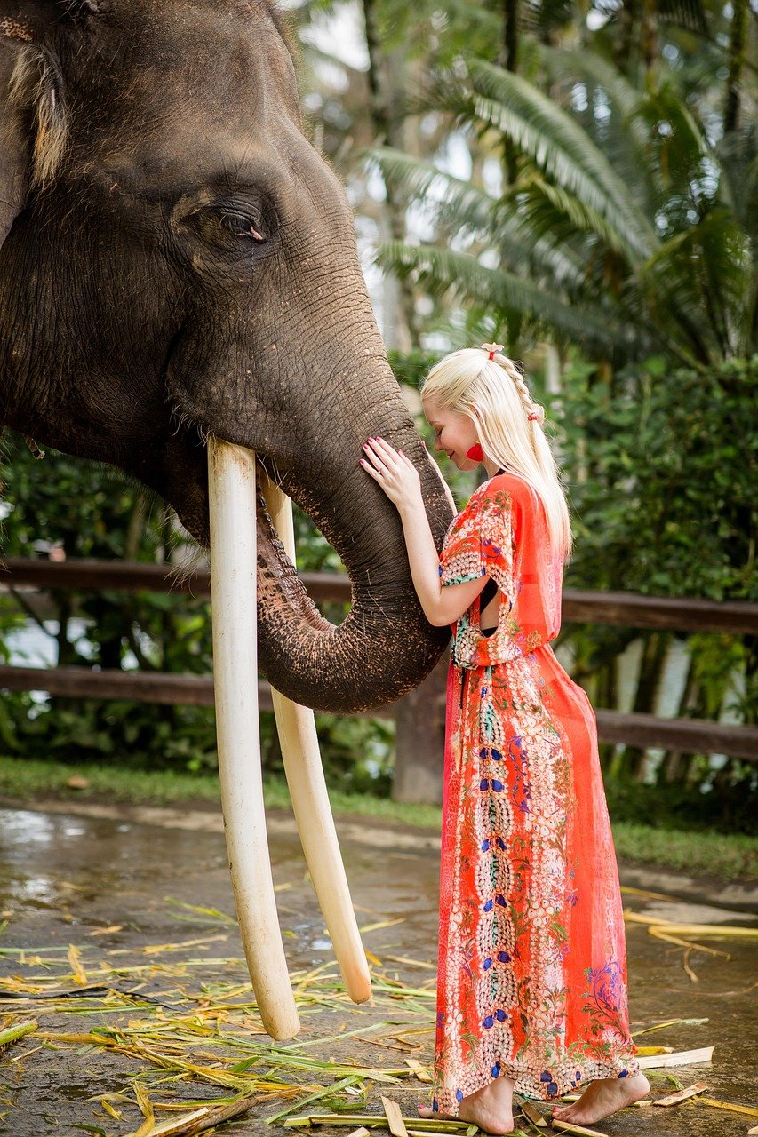 Elephant Sanctuary